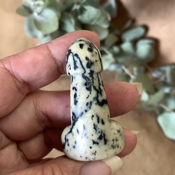 Dalmatian Jasper Mr. Peen - Picture 5 of 5
